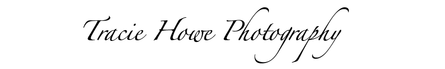Tracie Howe Photography logo