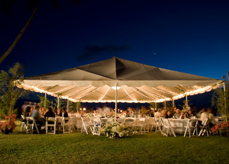 Hawaii wedding venue Da Pink House