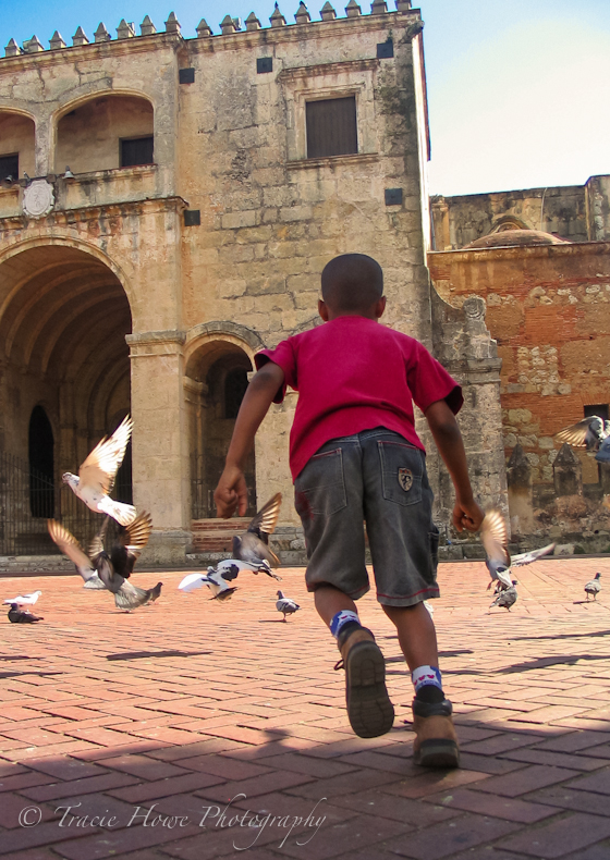 Photograph of boy chasing pigeons in Dominican Republic