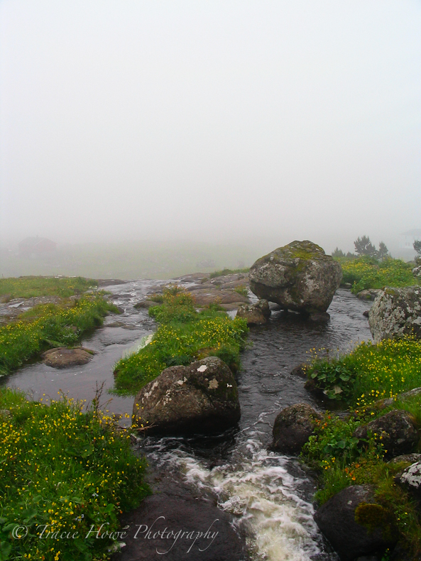 Photograph of foggy landscape in Faroe Islands