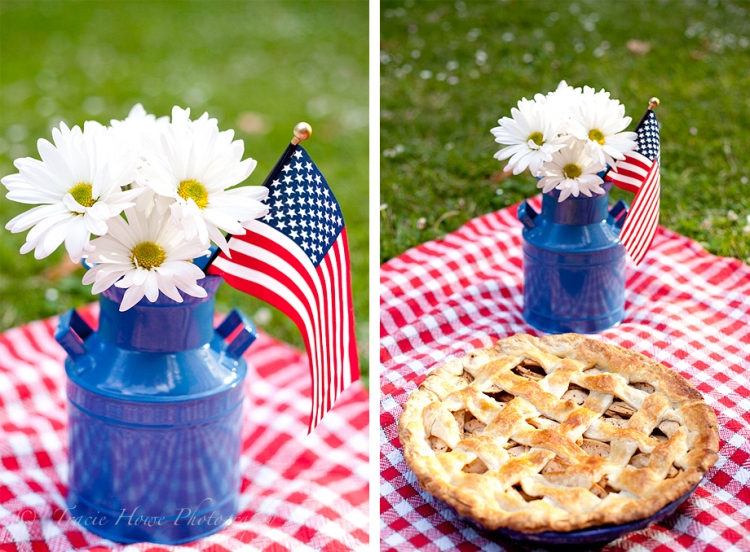 The Loopi Tote-Patriotic Picnic main image 0
