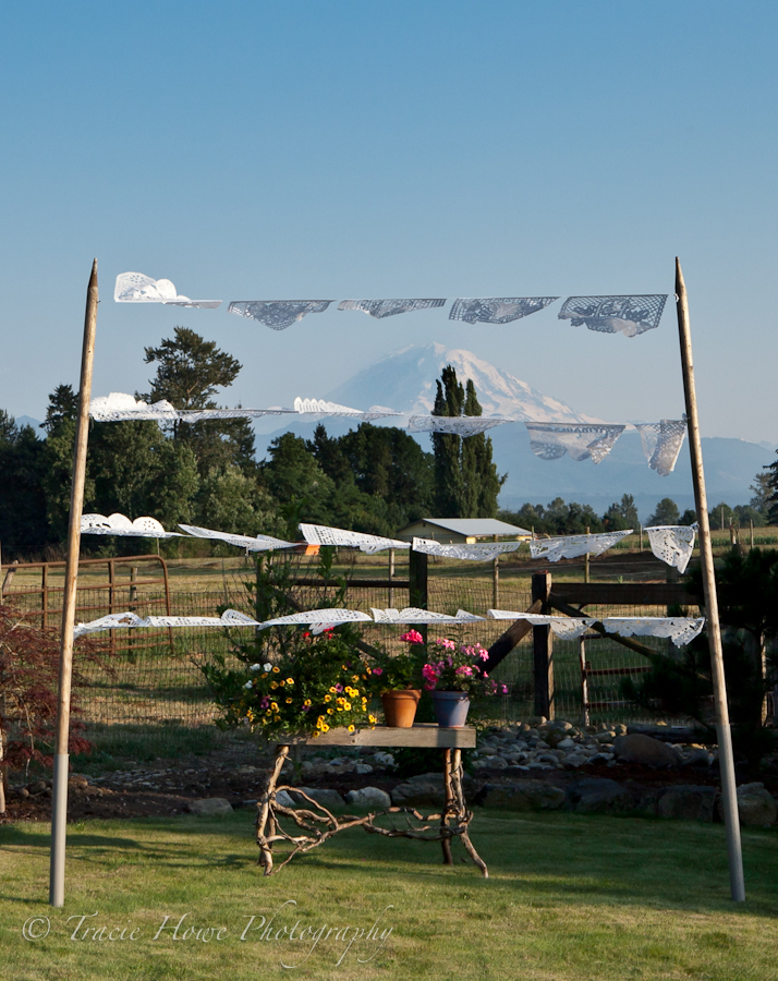 Photo of Mexican themed wedding decoration in front of Mt. Rainier