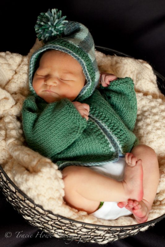 Newborn photo shoot in Seattle