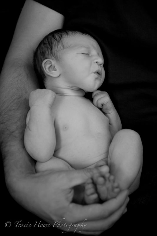 Newborn photo shoot in Seattle