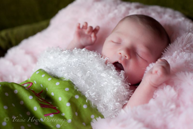 Newborn photo shoot in Seattle