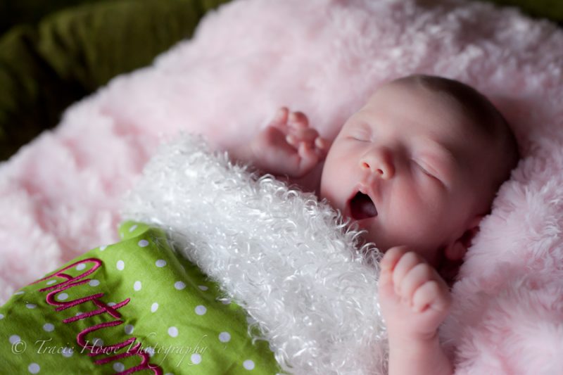 Newborn photo shoot in Seattle