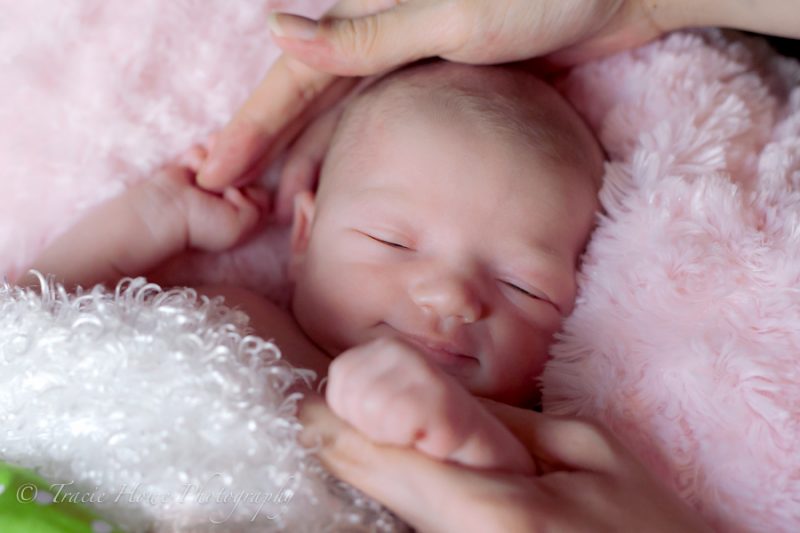 Newborn photo shoot in Seattle