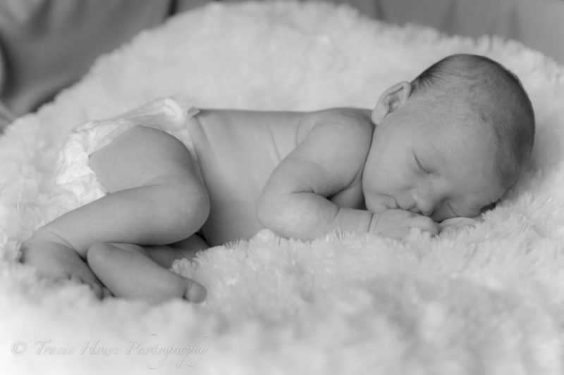 Newborn photo shoot in Seattle