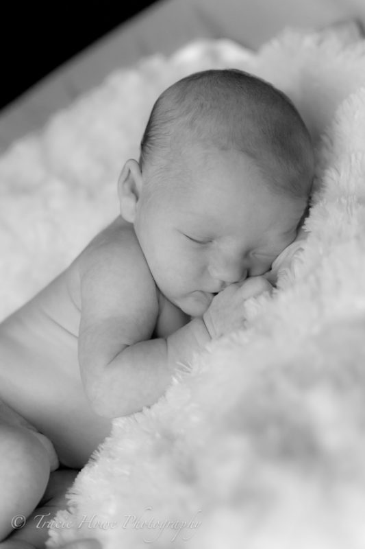 Newborn photo shoot in Seattle