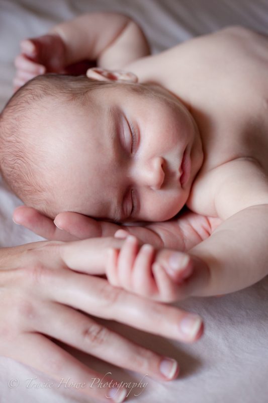 Newborn photo shoot in Seattle