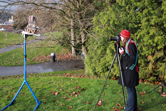 Forced perspective gingerbread house photo shoot at Gasworks Park