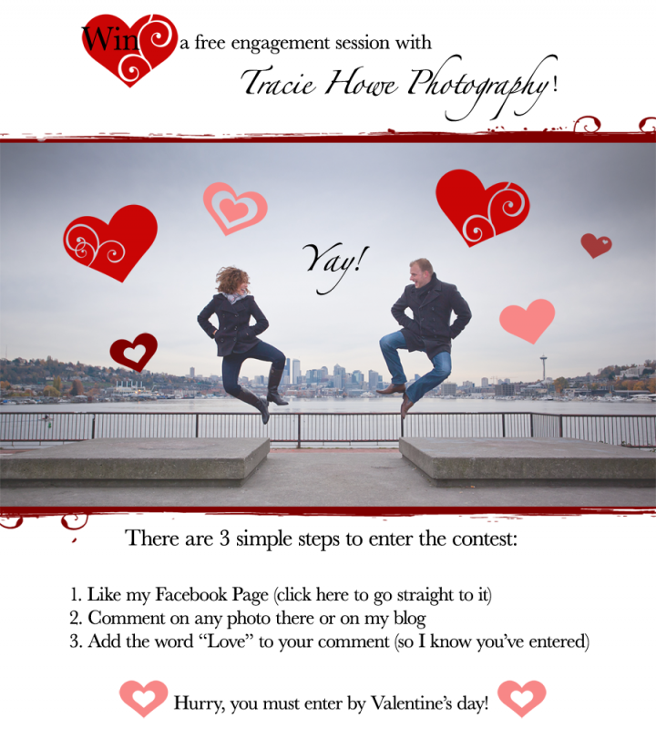 win free engagement photo session, enter by Valentine's day
