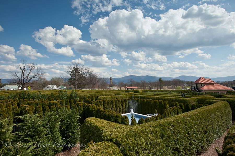 photo of hedge maze in Virginia by Luray Caverns