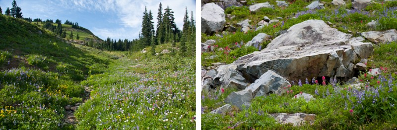 different perspectives of same landscape