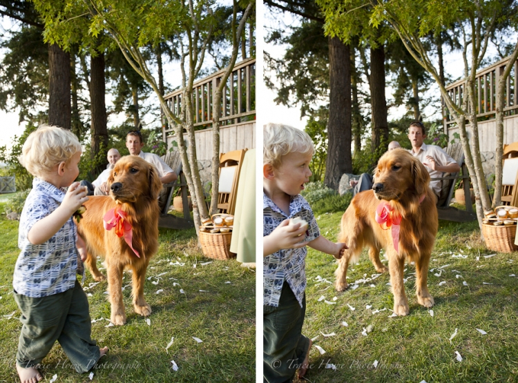 dog at Lopez Island wedding