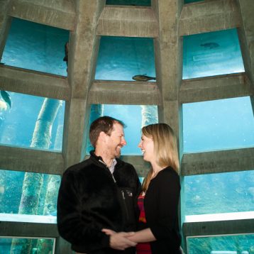 Seattle Aquarium engagement
