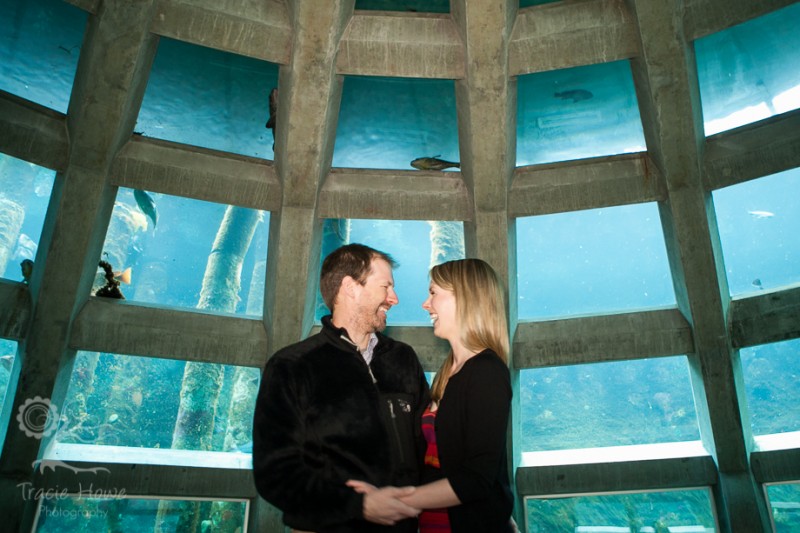 Seattle Aquarium engagement