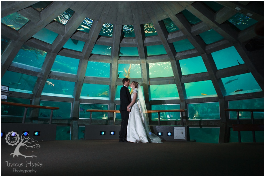 Seattle Aquarium wedding photography 