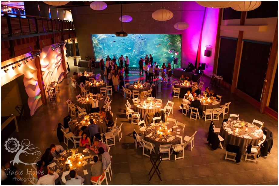 Seattle Aquarium wedding reception
