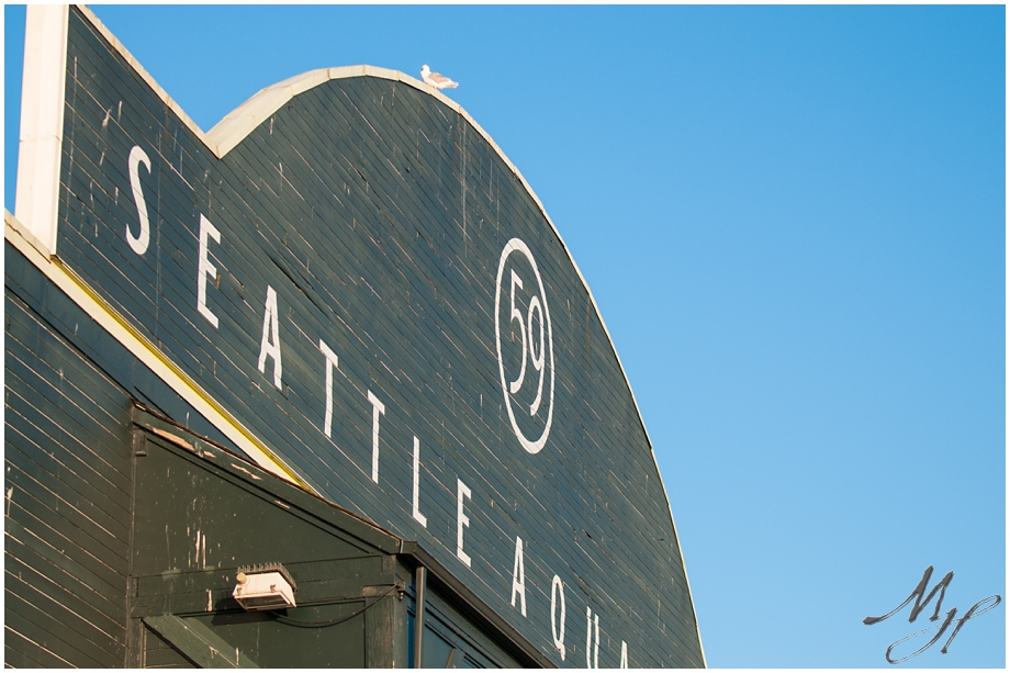 Seattle Aquarium wedding venue