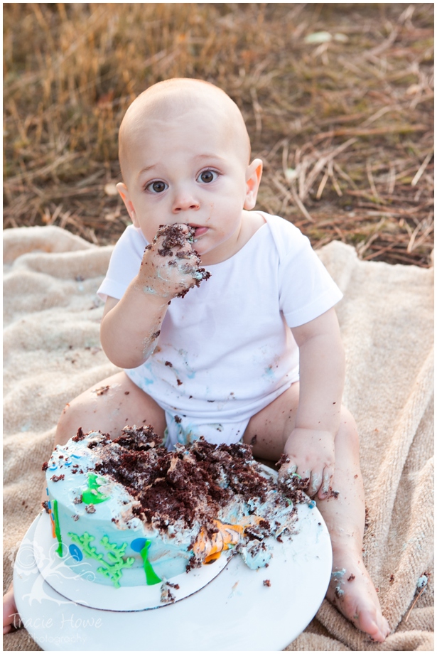  first year cake smash Discovery park