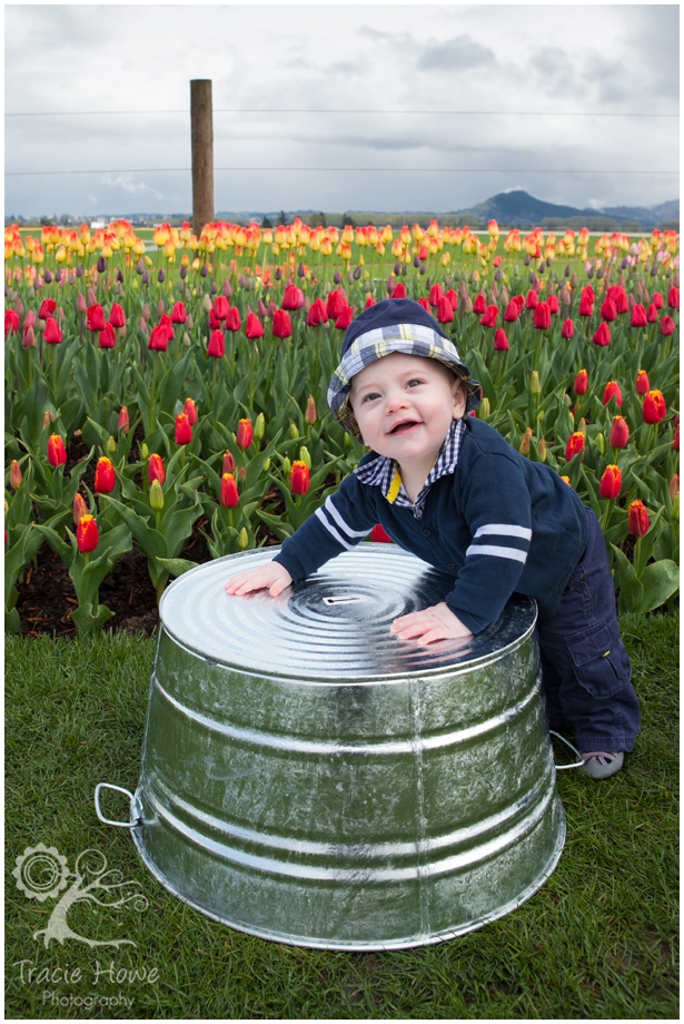 Mt Vernon Tulips baby portrait