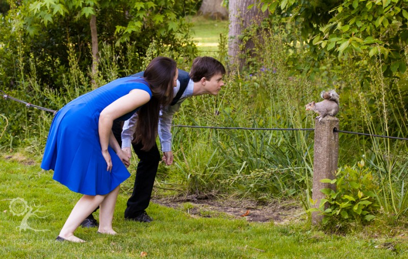 Seattle engagement photography