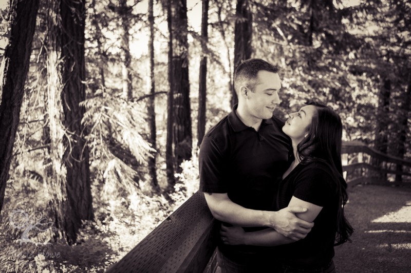 Snoqualmie Falls engagement