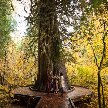 Mountain elopement photography Seattle