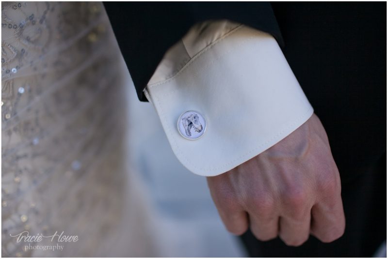 dinosaur cufflinks