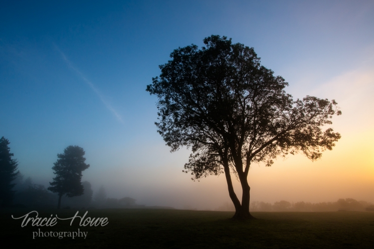 A foggy sunset at Richmond Beach park.