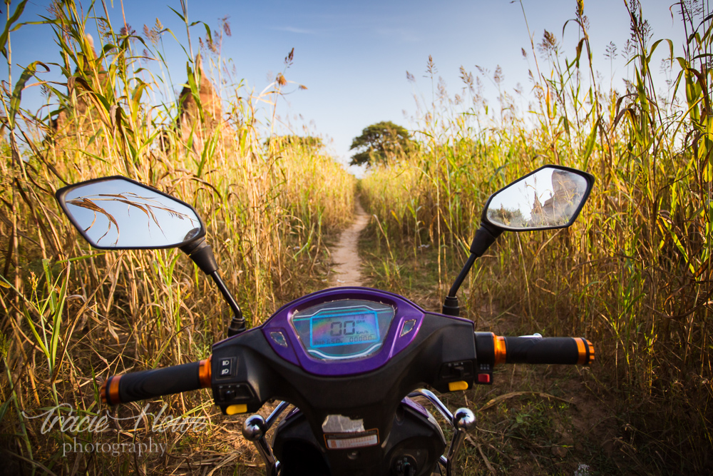I loved these moments on tiny paths in Bagan amongst the temples and the fields of crops.