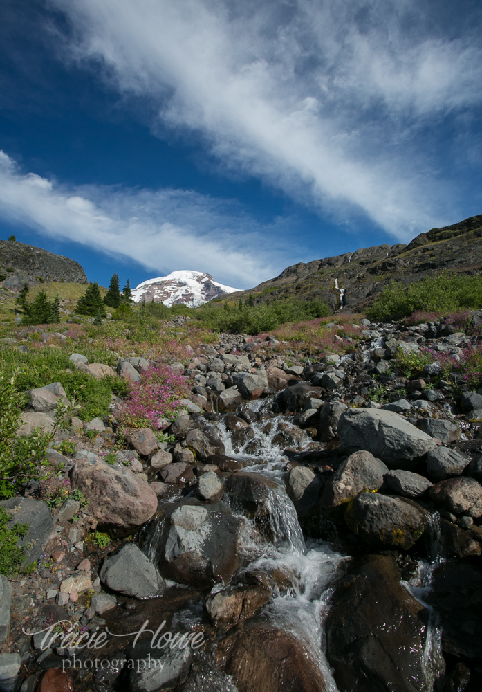 One of many hikes this year, but one of the few with clear skies and mountain top views.