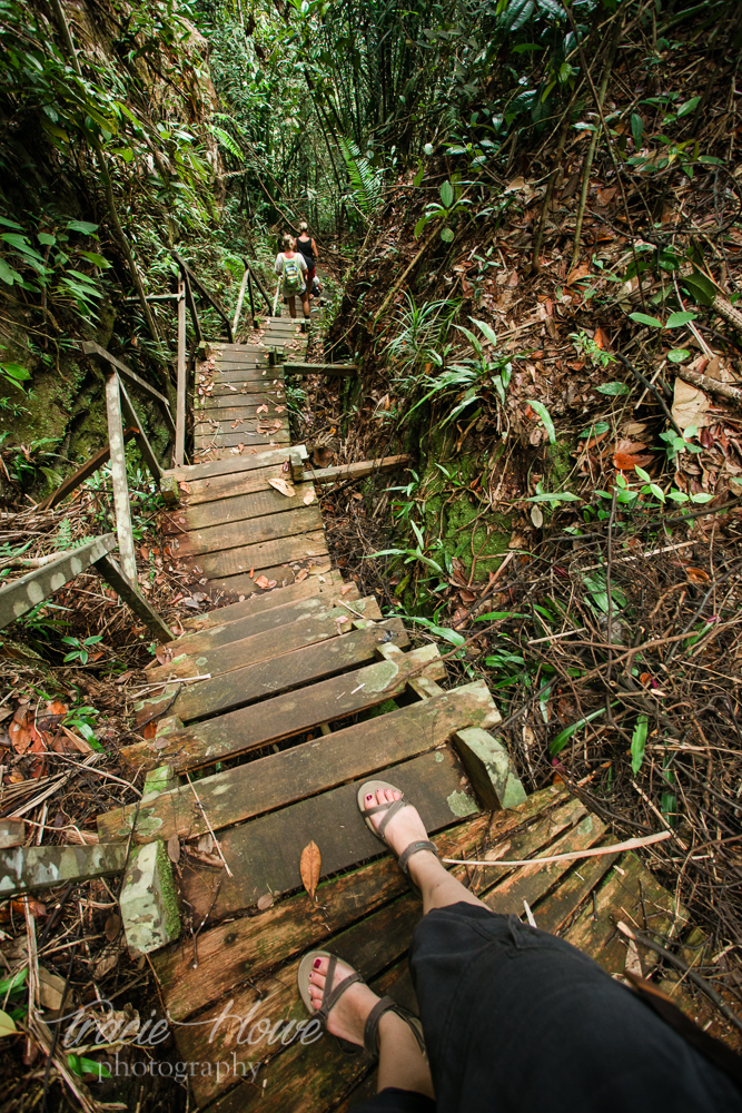 Countless steep and precarious steps wore me and my friends out during this hike in Borneo's Bako National Park. 