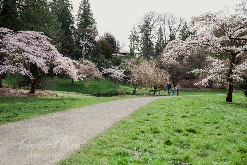 Seattle Arboretum family photography