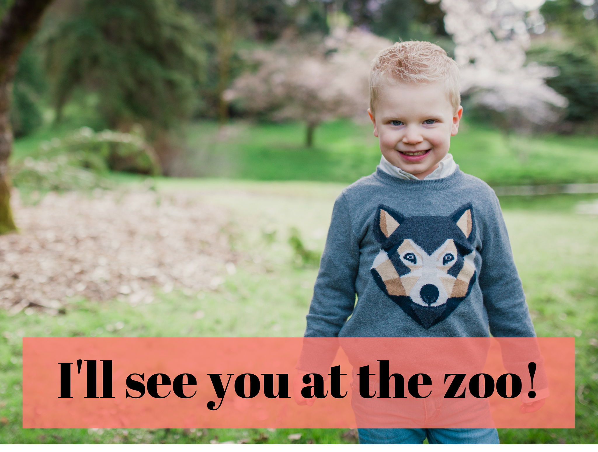 Seattle family mini sessions at the zoo