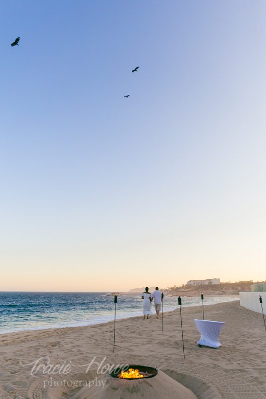 Marquis los Cabos elopement photographer